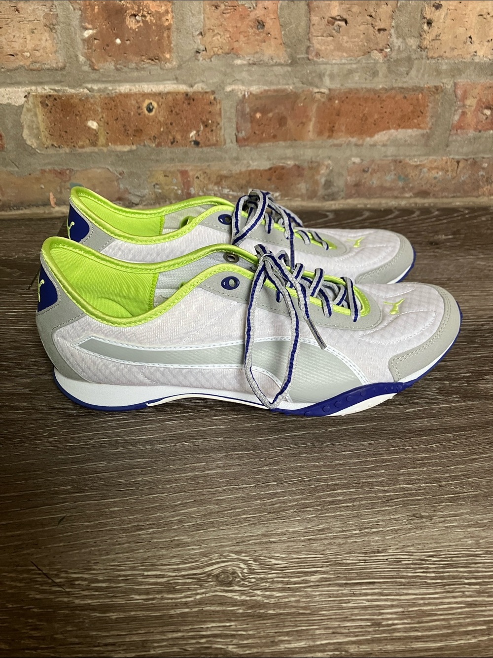 Puma Asha Mesh Women's Fitness Shoes